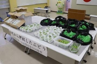 ブドウ200房盗んだ男逮捕　容疑で美咲署など