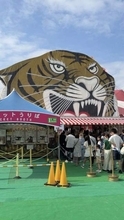 【インスタグラマー発　サーカスに行こうよ】迫力の演技　非日常を満喫