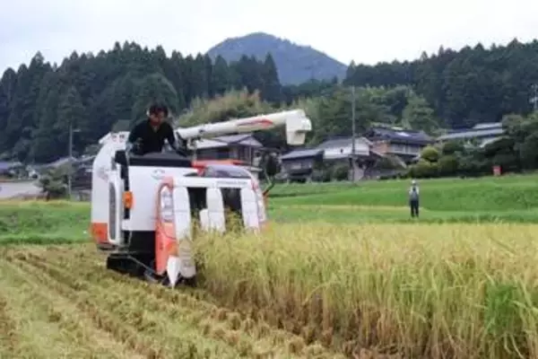 概算金遅らせ一時金検討、JA岡山　需要見通せず全品種60キロ1万200円