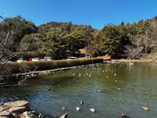 開園50年イベント募集 玉野・深山公園　30周年「道の駅」も