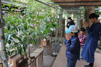 宗忠神社鎮座140年祭　地域住民ら節目祝う
