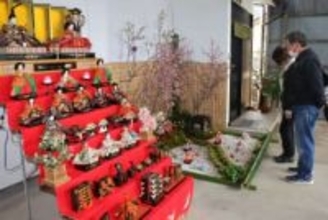「勝山お雛まつり」開幕 3月3日まで　人形や装飾 古き良き町並み彩る