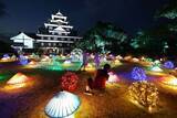 「家族連れら優美な光に酔いしれる　「幻想庭園」「烏城灯源郷」会期終盤 23日まで」の画像1