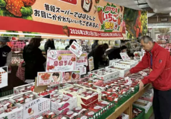 イチゴ尽くしのまつり開催中　農マル園芸吉備路農園、28日まで