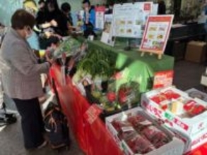 岡山・矢掛町特産のイタリア野菜　東京でPR、18日まで
