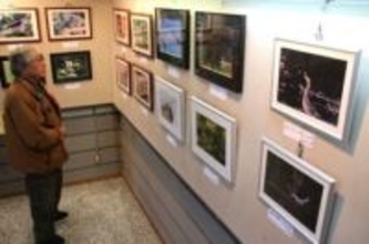 鳥、昆虫 生き生きと　玉野・深山写真ク作品展 14人が力作60点