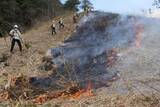 「春恒例 山焼き始まる　蒜山の草原地「鳩ケ原」」の画像1