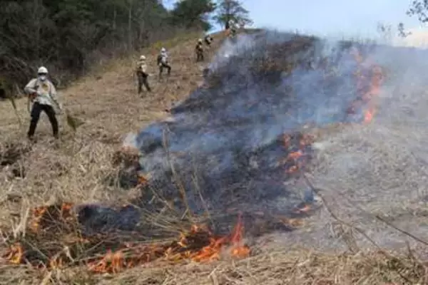春恒例 山焼き始まる　蒜山の草原地「鳩ケ原」
