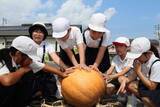 「巨大カボチャ収穫したよ　灘崎小迫川分校3年生」の画像1