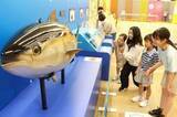 「食文化と命のつながり学ぶ　岡山で「ストーリー展」開幕」の画像1