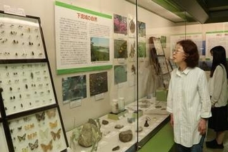 高梁川流域の昆虫、植物、石　900点展示 倉敷 自然史博物館
