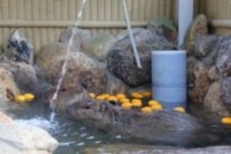 冬至 岡山県内は暖かい朝　カピバラゆず湯でほっこり