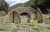 「福山・平家谷つばき園に竹垣ゲート　若手庭師グループ製作 来訪者歓迎」の画像1