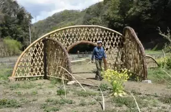 福山・平家谷つばき園に竹垣ゲート　若手庭師グループ製作 来訪者歓迎