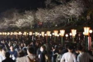 岡山さくらカーニバル 5日まで　旭川河川敷 屋台グルメ堪能