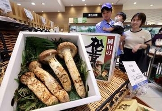 「秋の香り」岡山産マツタケ　百貨店初入荷、昨年より1日早く