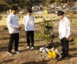 犬型ロボで特産品のレモン収穫　浅口・寄島の農家と岡山大が実験