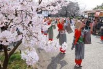 桜並木、地元グルメ満喫 　津山 鶴山公園「さくらまつり」開幕