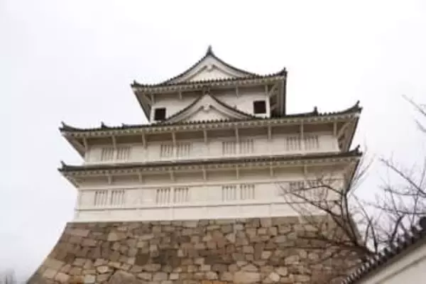 福山城櫓、伏見城時代の構造確認　福山市、国宝指定目指し京都で調査