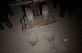 「遊園地のベンチ倒れ男性けが　岡山、脚部が腐食か」の画像1