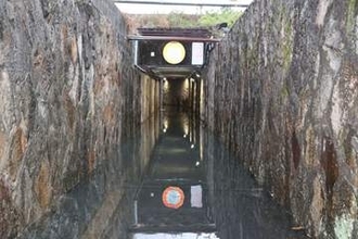 台風6号、岡山市北区西島田で地下道冠水、倒木も
