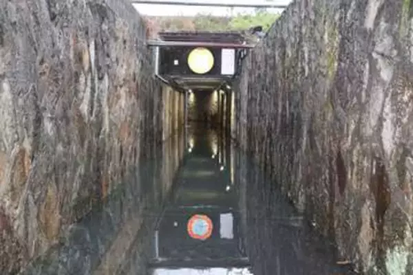 台風6号、岡山市内で冠水や倒木
