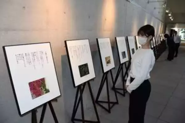 「写真から受けた感動を詩に」　作詞家・高畠さんら新見市で共作展
