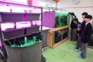 ベニザケと寒冷地野菜 同時に育てる　東岡工高生 設備拡張へCF