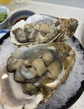 備前・日生で24日「カキフェス」　岩ガキ販売やグルメ