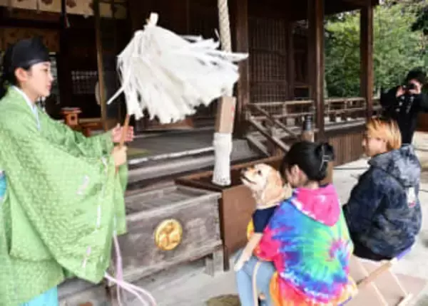 ペットの七五三参り続々　新見・船川八幡宮、長寿祈る