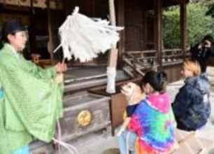 ペットの七五三参り続々　新見・船川八幡宮、長寿祈る