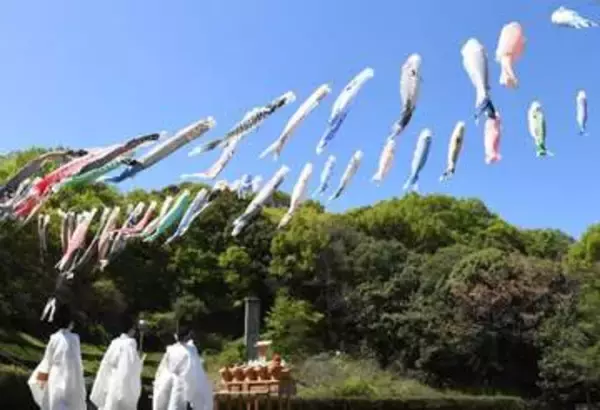 春風受けて悠々と泳ぐ こいのぼり80匹　黒住教本部にお目見え