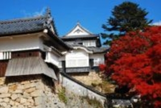 夜の備中松山城へ登城しよう　15日にモニターツアー