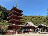 「国宝の五重塔や本堂内部特別公開 15日　福山・明王院、地元住民がガイド」の画像1