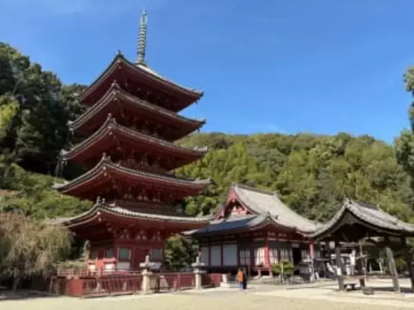 国宝の五重塔や本堂内部特別公開 15日　福山・明王院、地元住民がガイド