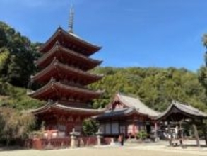国宝の五重塔や本堂内部特別公開 15日　福山・明王院、地元住民がガイド
