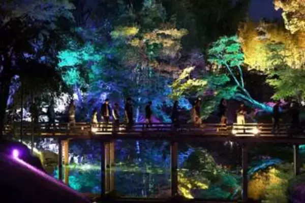 幽玄な光の演出　「幻想庭園」「烏城灯源郷」、会期5日まで