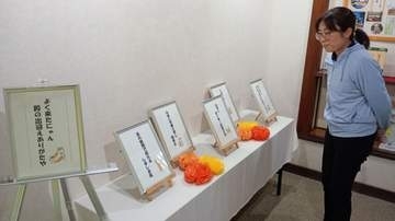 猫城主テーマの入選川柳22作品を展示　7月17日まで高梁の記念館「あしあと館」