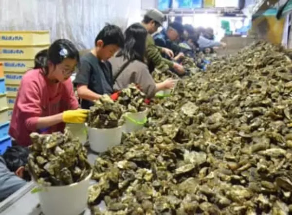 家族連れらが旬の味覚堪能　備前・日生でかき祭り
