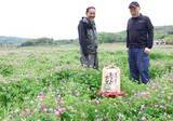 「笠岡・新山地区をレンゲで元気に　米ブランド化、イベント、蜂蜜　田原さんと畝山さんが奮闘」の画像1
