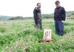 笠岡・新山地区をレンゲで元気に　米ブランド化、イベント、蜂蜜　田原さんと畝山さんが奮闘