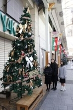 5メートルのXマスツリー登場　津山・商店街 20日にイベント