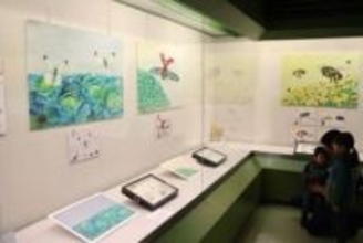 チョウやトンボ 緻密に表現　倉敷 自然史博物館で絵本画展