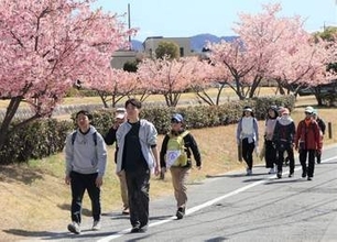 来春のツーデーマーチ 楯築遺跡巡るコース新設　40回記念で倉敷市
