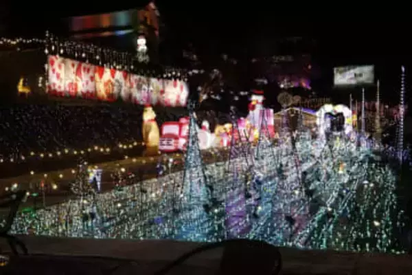 秘境イルミ SNSで注目　久米南の竹島さん 放棄地で展開