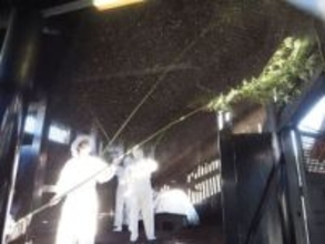 1年の汚れ落とす すす払い神事　再建600年の本殿や御釜殿 岡山・吉備津神社