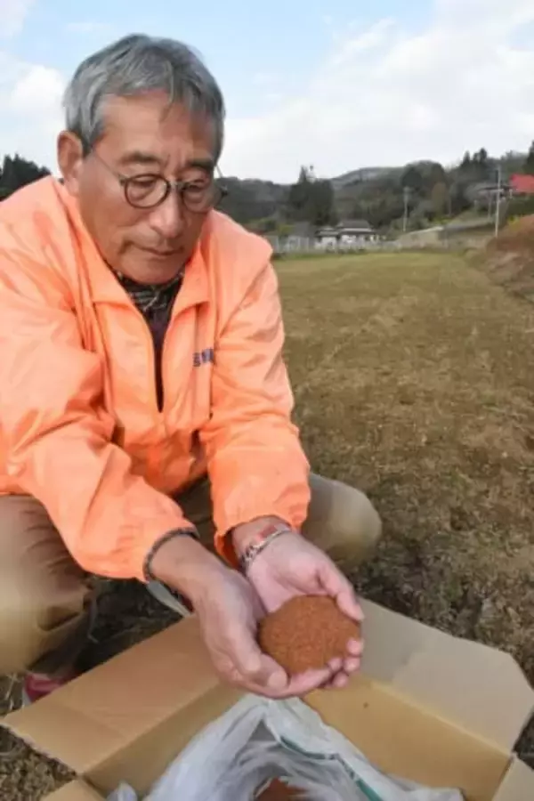 高級菜種で耕作放棄地解消へ　吉縁起村が団体企業と実証開始