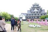 「烏城おしろあそび開幕 岡山　着付け体験などに家族連れ」の画像1