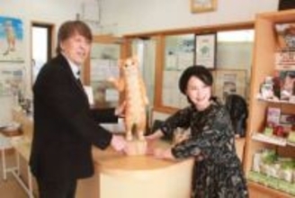 木彫り猫「星野さん」登場 瀬戸内きらり館　昨夏の特別展で人気