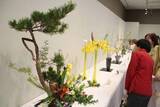 「色とりどり 花の美際立つ　池坊岡山県連合支部華道展開幕」の画像1